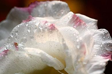 《小小梦魇3》动向成谜？6月24日展示会或揭晓答案！